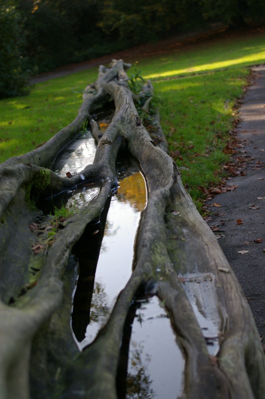 Spiegelungen - Hohensyburg 