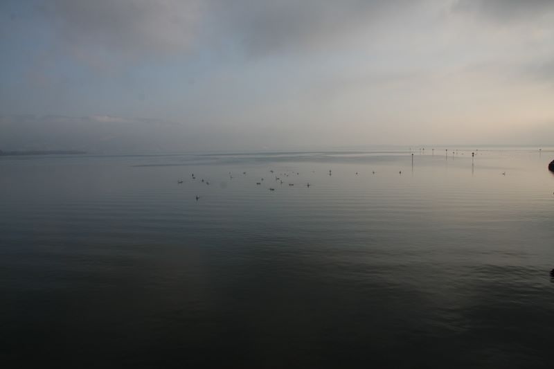 am Bodensee...