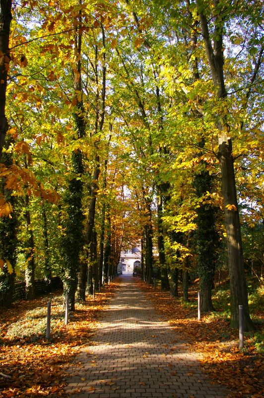 Kastanienallee am Wasserschloss Werdringen