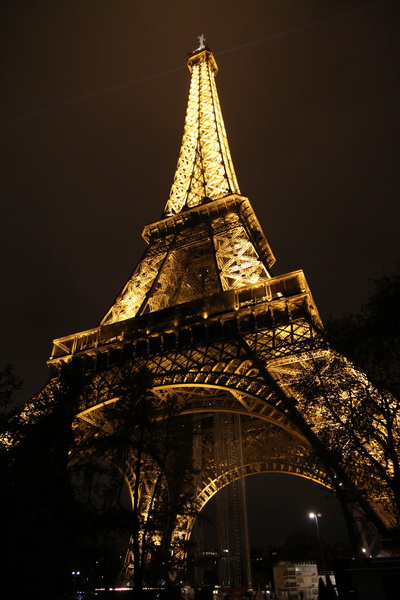 The Eiffel Tower Paris