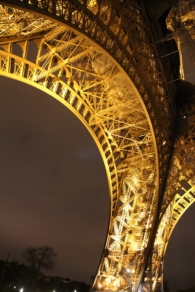 The Eiffel Tower Paris