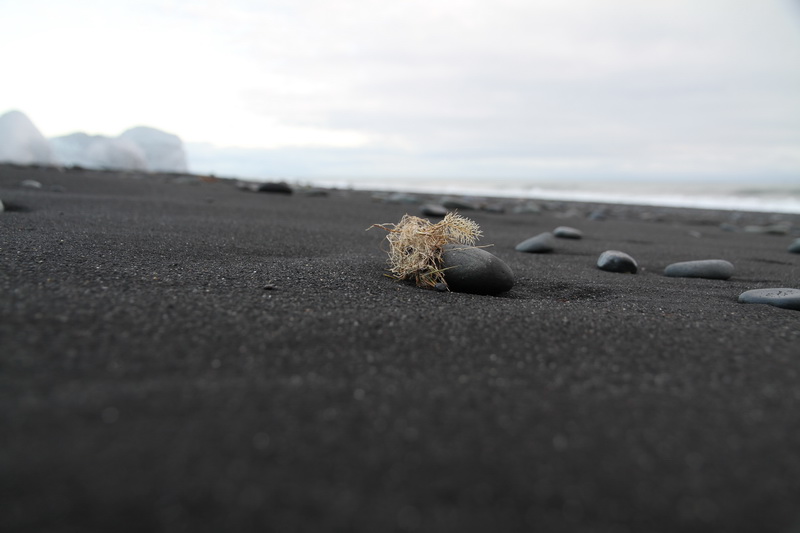 Black Beach in Iceland