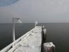 Frosted Pier on the Baltic Sea in Göhren - Rügen