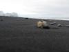 Black Beach in Iceland